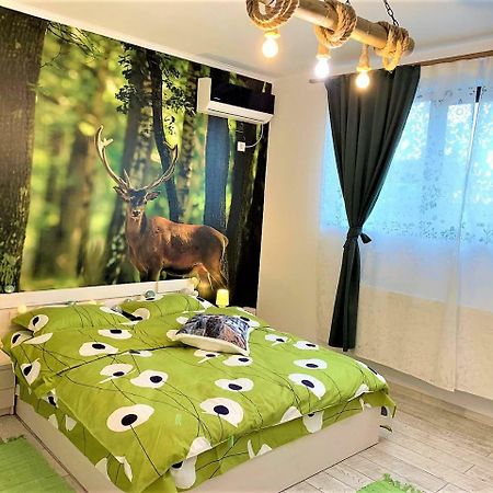 Nature Escape Studio Bukurešť Exteriér fotografie