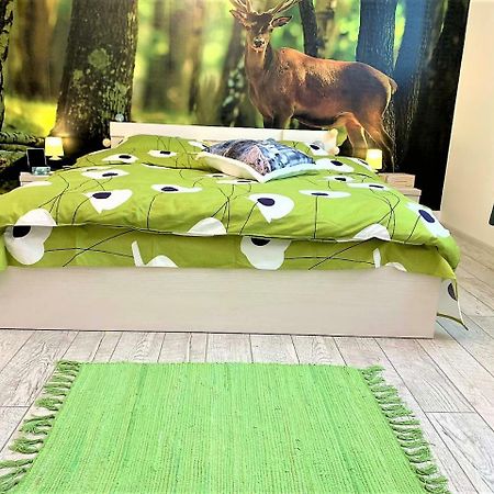 Nature Escape Studio Bukurešť Exteriér fotografie