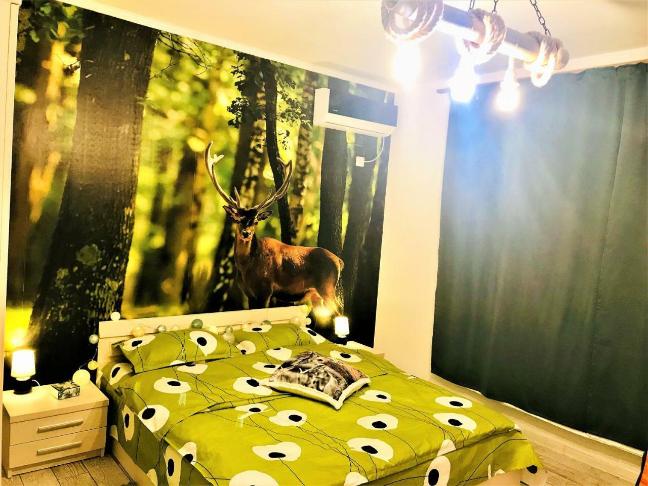 Nature Escape Studio Bukurešť Exteriér fotografie