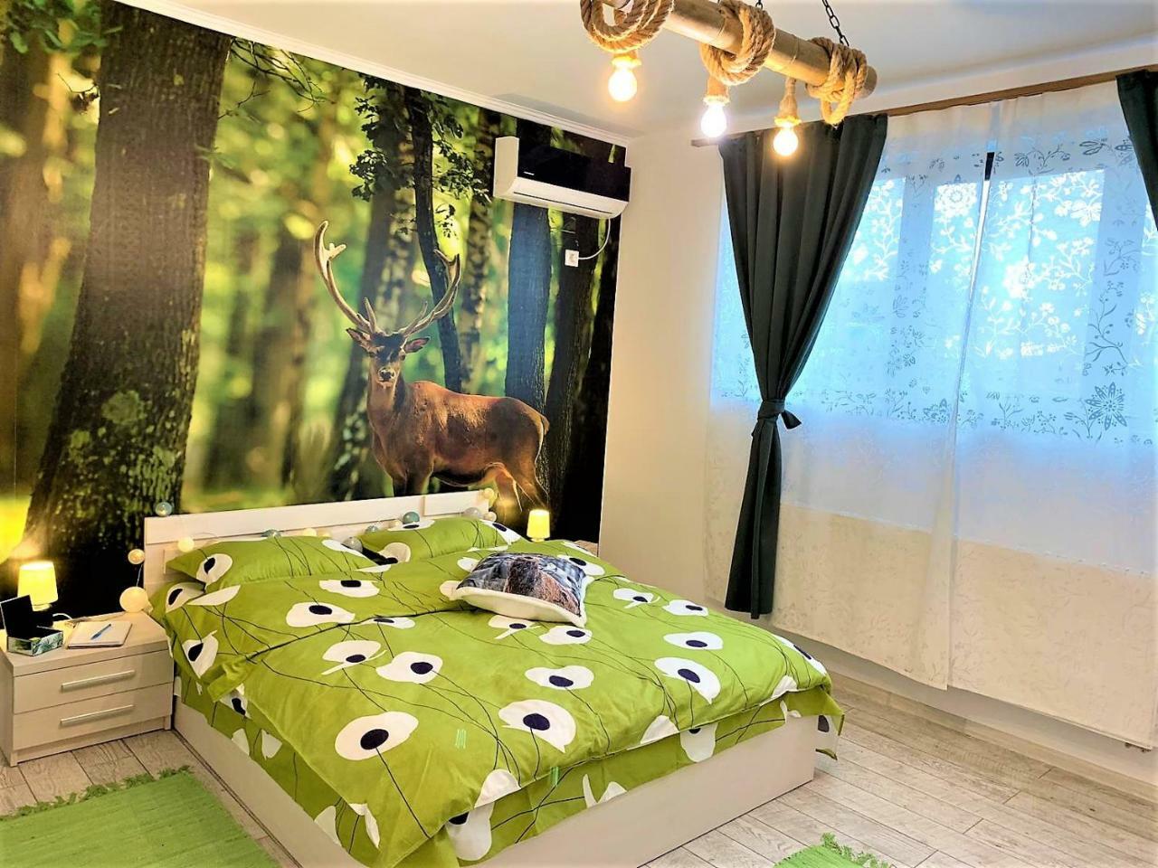 Nature Escape Studio Bukurešť Exteriér fotografie